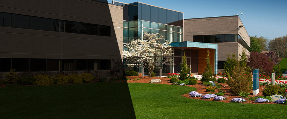 Sunnyvale Landscapers