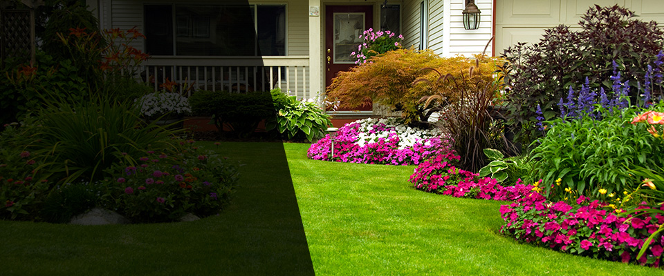 Sunnyvale Landscapers